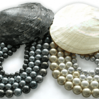 Pearls: Timeless Elegance & Fashionable Statements